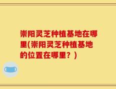 崇阳灵芝种植基地在哪里(崇阳灵芝种植基地的位置在哪里？)