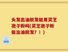 头发出油脱发能用灵芝孢子粉吗(灵芝孢子粉能治油脱发？！)