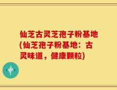 仙芝古灵芝孢子粉基地(仙芝孢子粉基地：古灵味道，健康颗粒)