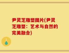 尹灵芝雕塑图片(尹灵芝雕塑：艺术与自然的完美融合)