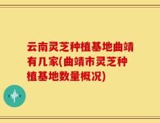 云南灵芝种植基地曲靖有几家(曲靖市灵芝种植基地数量概况)