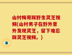 山村梅哥踩野生灵芝视频(山村男子在野外意外发现灵芝，留下难忘踩灵芝视频。)