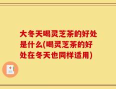 大冬天喝灵芝茶的好处是什么(喝灵芝茶的好处在冬天也同样适用)
