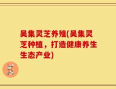 吴集灵芝养殖(吴集灵芝种植，打造健康养生生态产业)