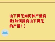 山下灵芝如何种产量高些(如何提高山下灵芝的产量？)