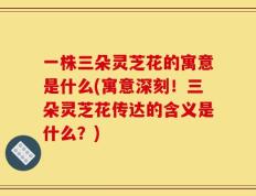 一株三朵灵芝花的寓意是什么(寓意深刻！三朵灵芝花传达的含义是什么？)