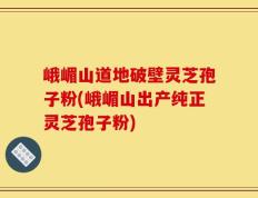 峨嵋山道地破壁灵芝孢子粉(峨嵋山出产纯正灵芝孢子粉)