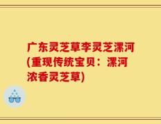 广东灵芝草李灵芝漯河(重现传统宝贝：漯河浓香灵芝草)