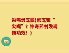 尖嘴灵芝图(灵芝变“尖嘴”？神奇药材发现新功效！)