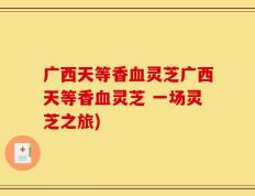 广西天等香血灵芝广西天等香血灵芝 一场灵芝之旅)