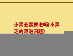 小灵芝需要泡吗(小灵芝的浸泡问题)