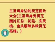 三圣母身边的灵芝图片大全(三圣母身旁灵芝图片汇总：花菇、玄灵核、金头蘑等多款灵芝亮相。)