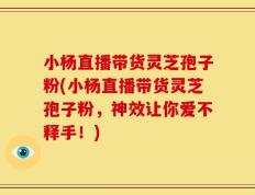 小杨直播带货灵芝孢子粉(小杨直播带货灵芝孢子粉，神效让你爱不释手！)