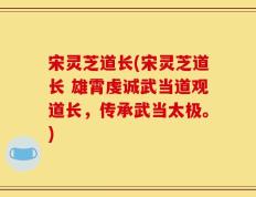 宋灵芝道长(宋灵芝道长 雄霄虔诚武当道观道长，传承武当太极。)