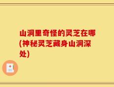 山洞里奇怪的灵芝在哪(神秘灵芝藏身山洞深处)