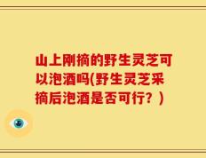 山上刚摘的野生灵芝可以泡酒吗(野生灵芝采摘后泡酒是否可行？)