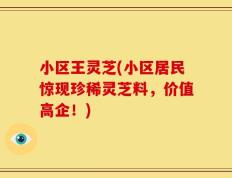 小区王灵芝(小区居民惊现珍稀灵芝料，价值高企！)