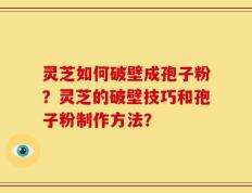 灵芝如何破壁成孢子粉？灵芝的破壁技巧和孢子粉制作方法？
