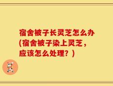 宿舍被子长灵芝怎么办(宿舍被子染上灵芝，应该怎么处理？)