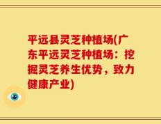 平远县灵芝种植场(广东平远灵芝种植场：挖掘灵芝养生优势，致力健康产业)