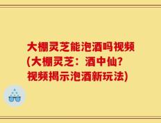 大棚灵芝能泡酒吗视频(大棚灵芝：酒中仙？视频揭示泡酒新玩法)