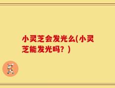 小灵芝会发光么(小灵芝能发光吗？)