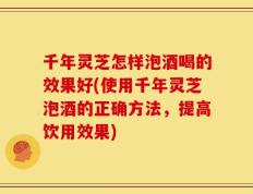 千年灵芝怎样泡酒喝的效果好(使用千年灵芝泡酒的正确方法，提高饮用效果)