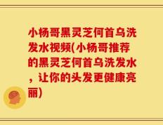 小杨哥黑灵芝何首乌洗发水视频(小杨哥推荐的黑灵芝何首乌洗发水，让你的头发更健康亮丽)