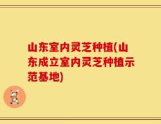 山东室内灵芝种植(山东成立室内灵芝种植示范基地)