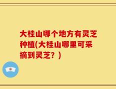 大桂山哪个地方有灵芝种植(大桂山哪里可采摘到灵芝？)