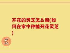 开花的灵芝怎么栽(如何在家中种植开花灵芝)