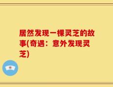 居然发现一棵灵芝的故事(奇遇：意外发现灵芝)