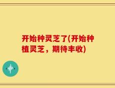 开始种灵芝了(开始种植灵芝，期待丰收)