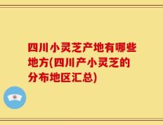 四川小灵芝产地有哪些地方(四川产小灵芝的分布地区汇总)