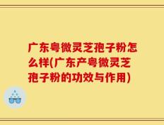 广东粤微灵芝孢子粉怎么样(广东产粤微灵芝孢子粉的功效与作用)