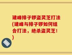 建峰排子锣盗灵芝打法(建峰与排子锣如何组合打法，绝杀盗灵芝！)