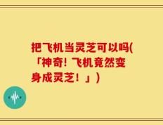 把飞机当灵芝可以吗(「神奇! 飞机竟然变身成灵芝！」)