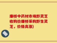 廉桥中药材市场野灵芝收购价廉桥采购野生灵芝，价格高涨)