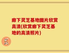 廊下灵芝基地图片欣赏高清(欣赏廊下灵芝基地的高清照片)