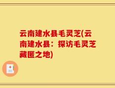 云南建水县毛灵芝(云南建水县：探访毛灵芝藏匿之地)