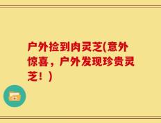 户外捡到肉灵芝(意外惊喜，户外发现珍贵灵芝！)