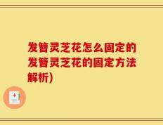 发簪灵芝花怎么固定的发簪灵芝花的固定方法解析)