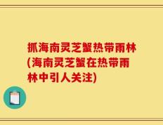 抓海南灵芝蟹热带雨林(海南灵芝蟹在热带雨林中引人关注)