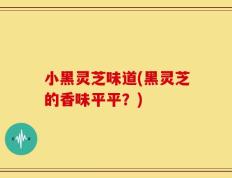 小黑灵芝味道(黑灵芝的香味平平？)