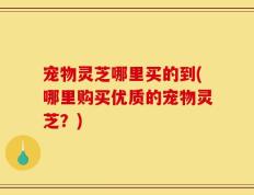 宠物灵芝哪里买的到(哪里购买优质的宠物灵芝？)