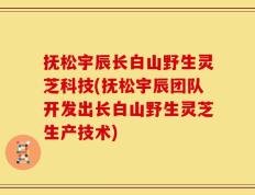 抚松宇辰长白山野生灵芝科技(抚松宇辰团队开发出长白山野生灵芝生产技术)