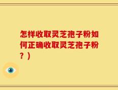 怎样收取灵芝孢子粉如何正确收取灵芝孢子粉？)