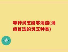 哪种灵芝能够消痘(消痘首选的灵芝种类)