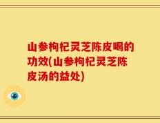 山参枸杞灵芝陈皮喝的功效(山参枸杞灵芝陈皮汤的益处)