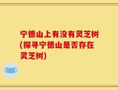 宁德山上有没有灵芝树(探寻宁德山是否存在灵芝树)